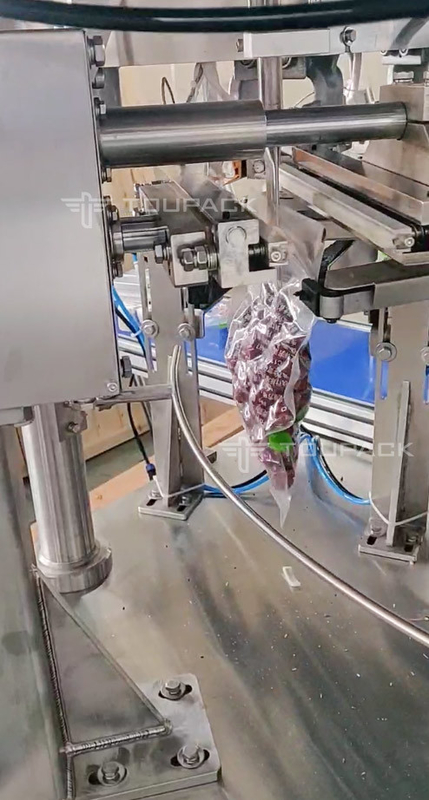 Doypack için otomatik döner torba doldurma ve mühürleme makinesi