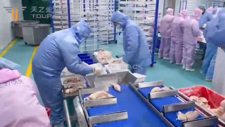 Otomatik kemer türü çok başlı kombinasyon tartıcı domuz ayakları için tartıcı