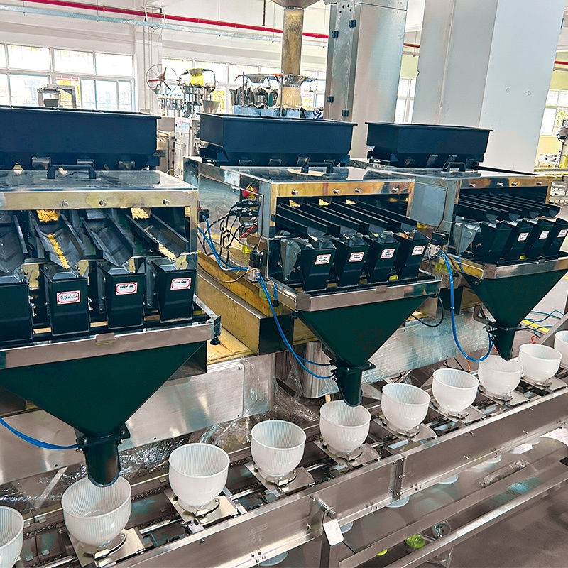 Otomatik 10g-1000G Poşet Papağan Yemi Paketleme Makinesi Şeker Kuruyemiş Baharat Çay Yaprağı Saşe Paketleme Makinesi Çok Kafalı Kantar