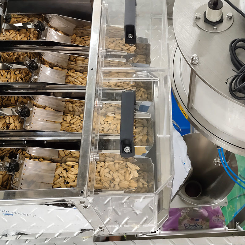 Otomatik 200g 300g 500g Dikey Şekil Doldurma ve Sızdırma Paketleme Makineleri Toz Doldurma Makinesi Doypack Bag Whey Protein Toz Paketleme Makinesi