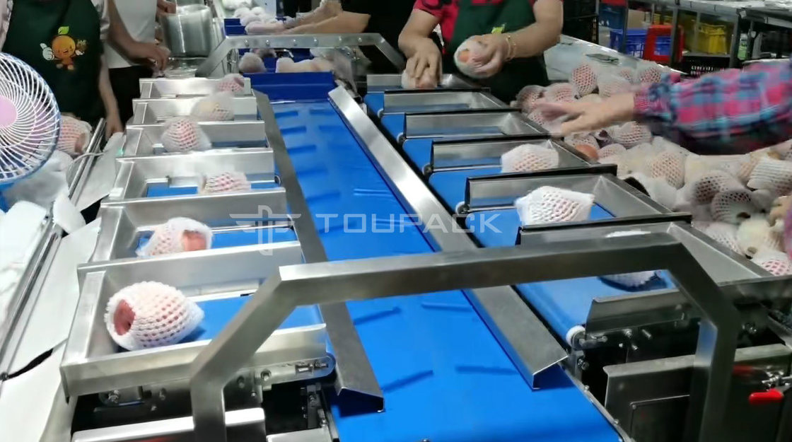 Yastık rulo paketleme makinesi armut elma ağırlık kombinasyonu ölçek meyve kombinasyonu tartıcı yüksek hassasiyetli paketleme makinesi