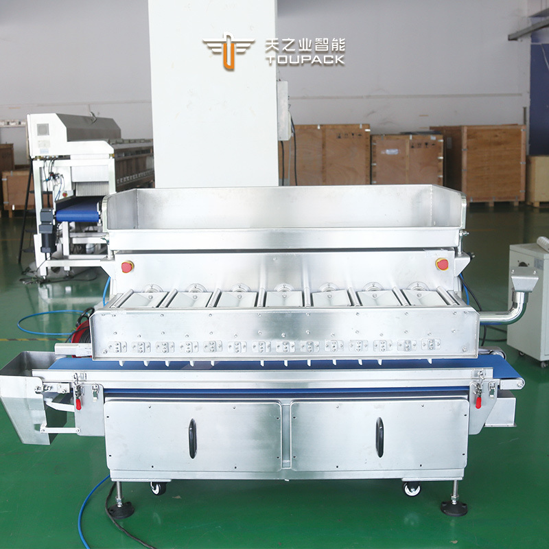 Doypack Auto Fill Seal Pouch Bag Packaging Machine Cuttlefish Seafood Flip Multi Head Scale Premade Bag Packing Machine