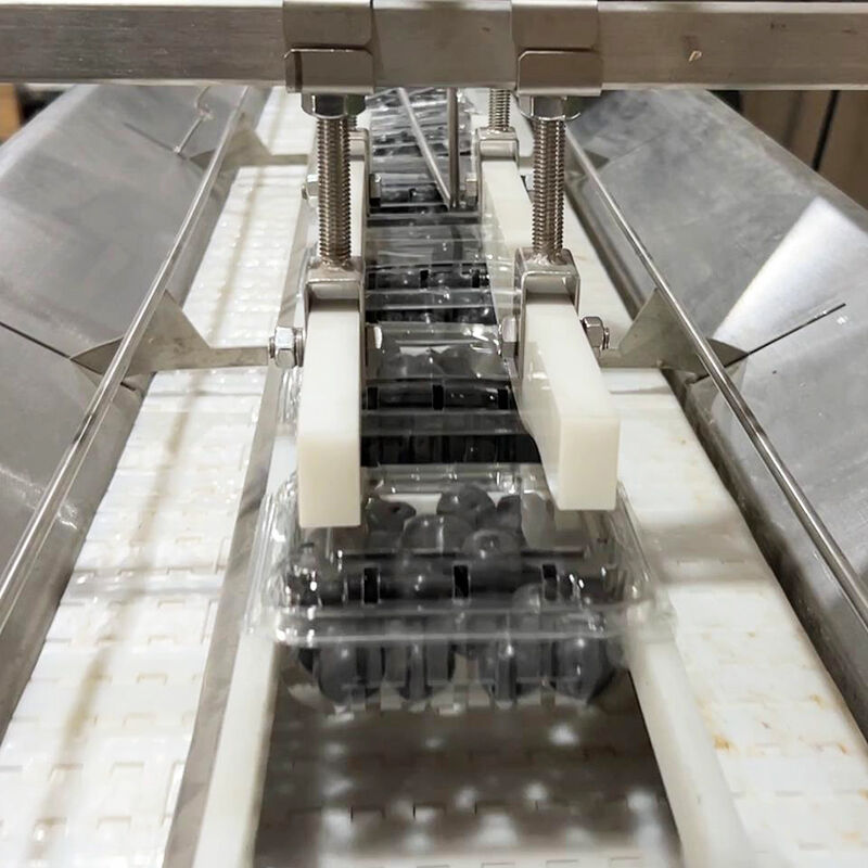 Otomatik Yaban Mersini Dondurulmuş Sebze Salatası Sebze Paketleme Makinesi Kiraz Domates Sebze Tartı ve Paketleme Makinesi