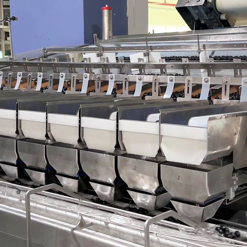 Otomatik Yaban Mersini Dondurulmuş Sebze Salatası Sebze Paketleme Makinesi Kiraz Domates Sebze Tartı ve Paketleme Makinesi