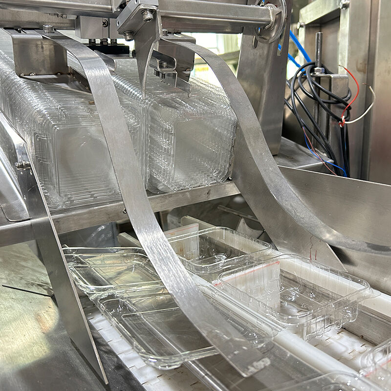 Otomatik Yaban Mersini Dondurulmuş Sebze Salatası Sebze Paketleme Makinesi Kiraz Domates Sebze Tartı ve Paketleme Makinesi