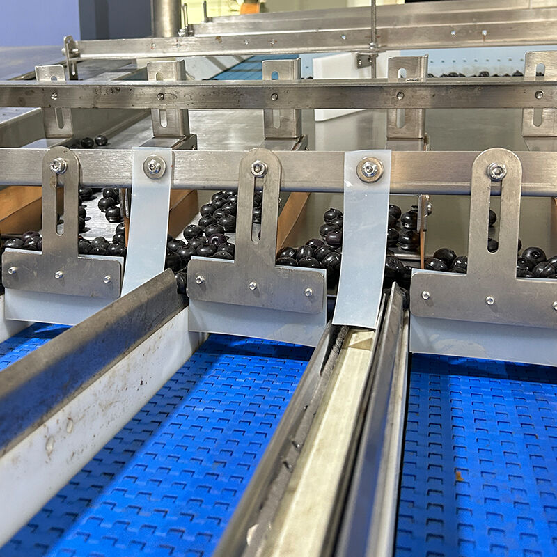 Otomatik Yaban Mersini Dondurulmuş Sebze Salatası Sebze Paketleme Makinesi Kiraz Domates Sebze Tartı ve Paketleme Makinesi