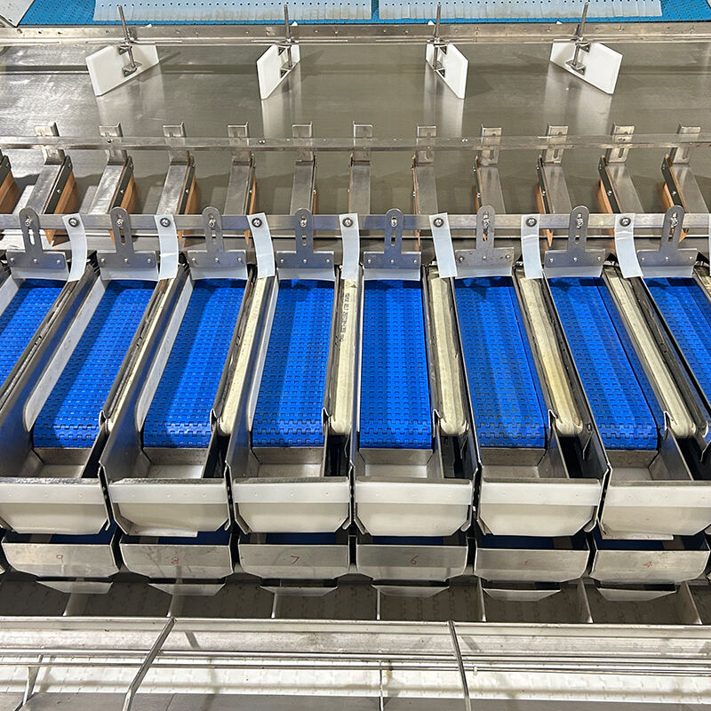 Otomatik Yaban Mersini Dondurulmuş Sebze Salatası Sebze Paketleme Makinesi Kiraz Domates Sebze Tartı ve Paketleme Makinesi