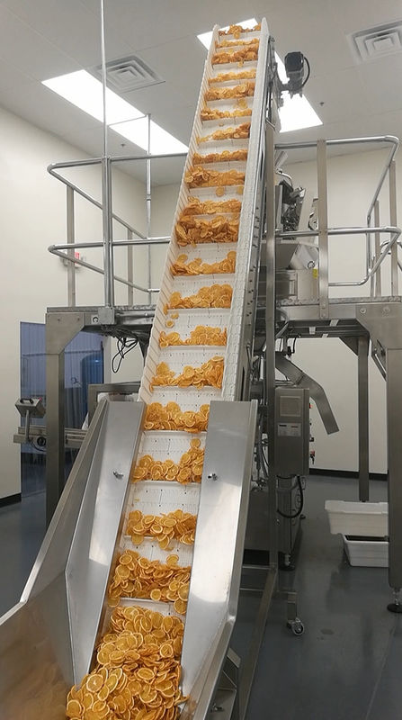 40 Torba / Dak PLC Döner Paketleme Makinesi Kurutulmuş Meyve Limonlu Premade Torba için Çok Kafa Kantarı