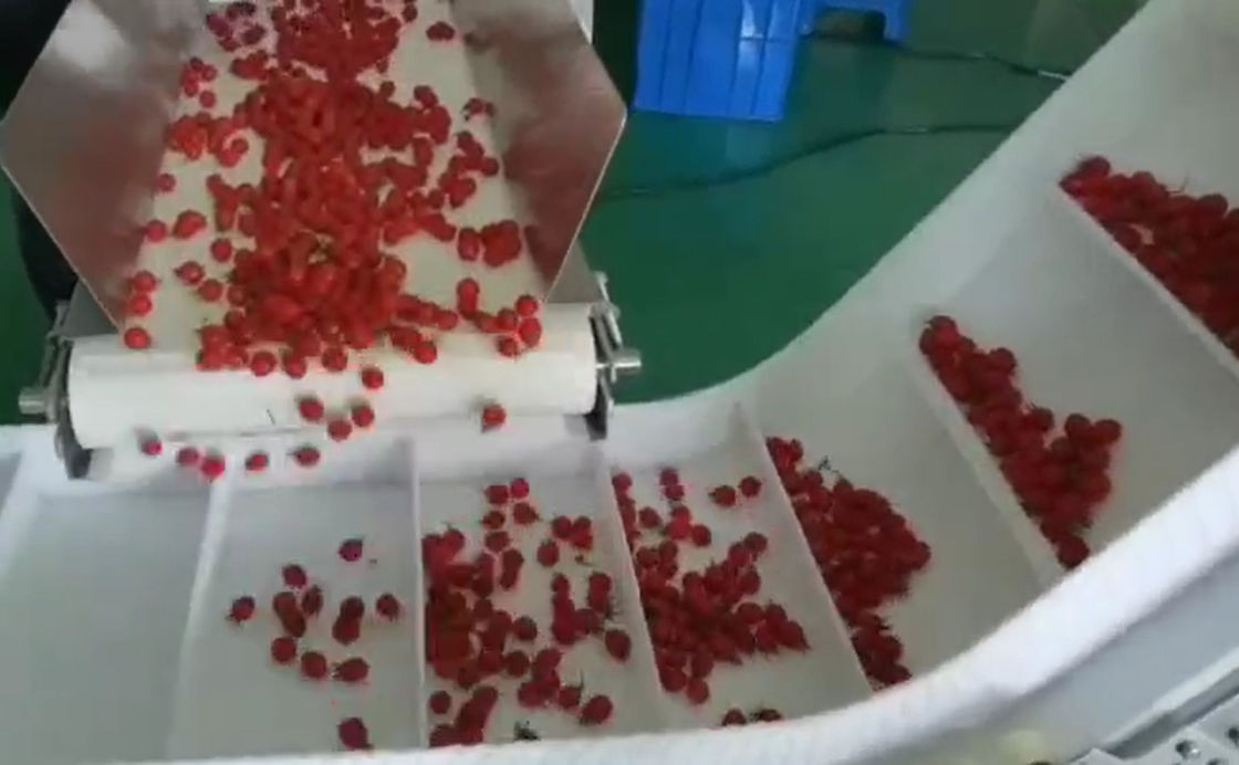 Kutularda Kiraz Dondurulmuş Meyveler İçin SUS304 Çok Kafa Kantarı Otomatik Tartı ve Paketleme Sistemi