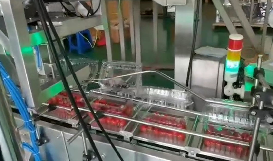 Kutularda Kiraz Dondurulmuş Meyveler İçin SUS304 Çok Kafa Kantarı Otomatik Tartı ve Paketleme Sistemi