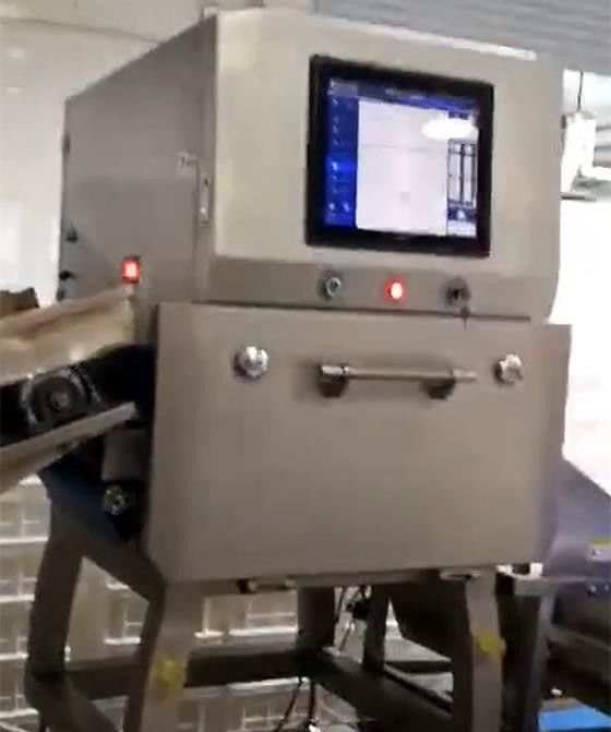 1 Microsievert / H X Ray Gıda Kontrol Sistemleri Cips Somunları için SUS304 Dedektörü