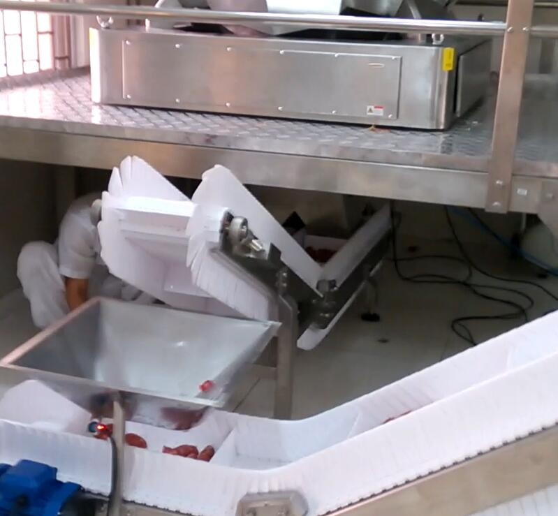 Gıda Fabrikası Endüstrisi için 5000g Hazne Çok Kafa Kantarı Paketleme Makinesi 60 BPM Şeker