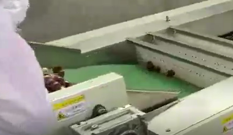 Karbon Çelik 220V Hünnap Ayırma Makinesi Ayırma Üretim Hattı