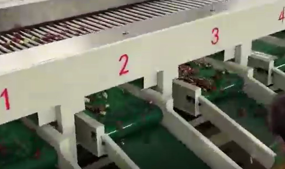 Karbon Çelik 220V Hünnap Ayırma Makinesi Ayırma Üretim Hattı