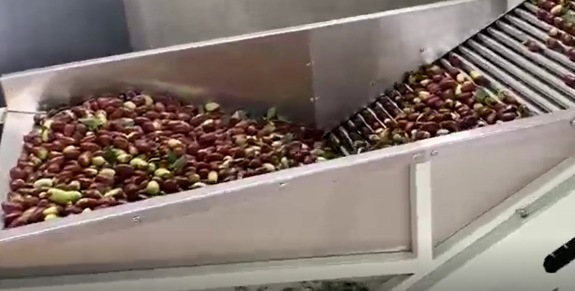 Karbon Çelik 220V Hünnap Ayırma Makinesi Ayırma Üretim Hattı