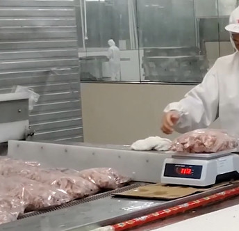 Buzlu Et Kemik Ürünü İçin 20 Torba / Dak Çok Kafalı Kantar Paketleme Makinesi