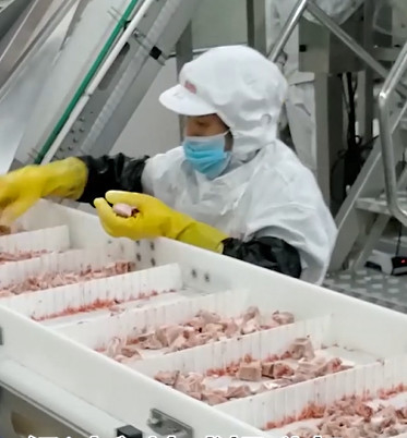 Buzlu Et Kemik Ürünü İçin 20 Torba / Dak Çok Kafalı Kantar Paketleme Makinesi