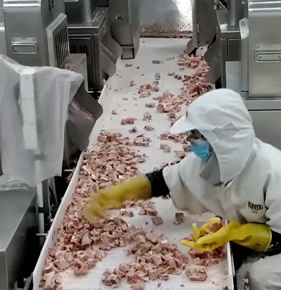 Buzlu Et Kemik Ürünü İçin 20 Torba / Dak Çok Kafalı Kantar Paketleme Makinesi