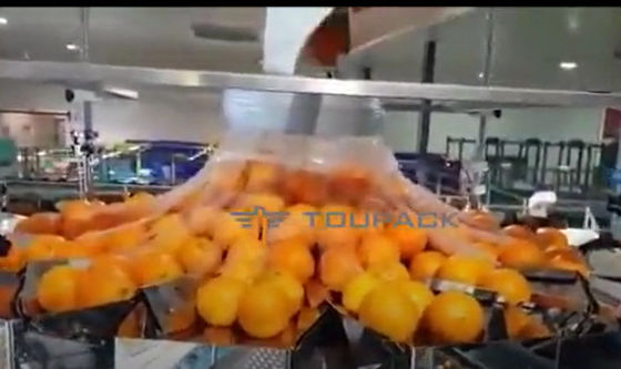 Net ile Otomatik Portakal Meyve Ve Sebze Paketleme Makinası
