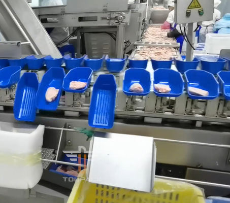 Deniz Ürünleri İçin Güvenlik Dairesel Çok Kafa Ağırlık Ayırma Makinesi 300 Kez / Dak