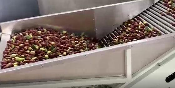 Karbon Çelik 220V Hünnap Ayırma Makinesi Ayırma Üretim Hattı