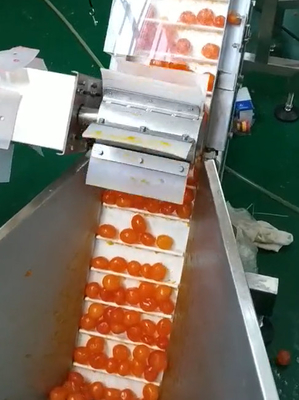 Multi Kantar Vakum Paketleme Makinası Sarısı Ayıklama ve Taşıma Projesi