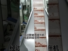 Taze et ürünü için kesme, taşıma, sınıflandırma, ağırlama, ambalajlama çözeltisi