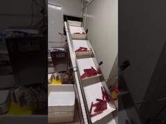 Uzun şekilli sosis, sosisli sandviç için otomatik tartım ve taşıma sistemi