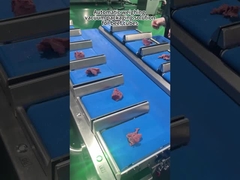 Çoklu Başlı Et Ağırlıklı Paketleme Makinesi