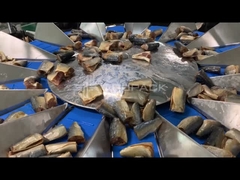 TOUPACK 14 başlı Balık ağırlığı için çok başlı tartıcı