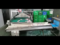 Röntgen Metal Detektörü Röntgen Gıda Tarayıcısı Röntgen Tarayıcısı