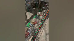 32 kafalı Çok Kafalı Tartıcı ile karıştırılmış papağan yemi tartım paketleme hattı